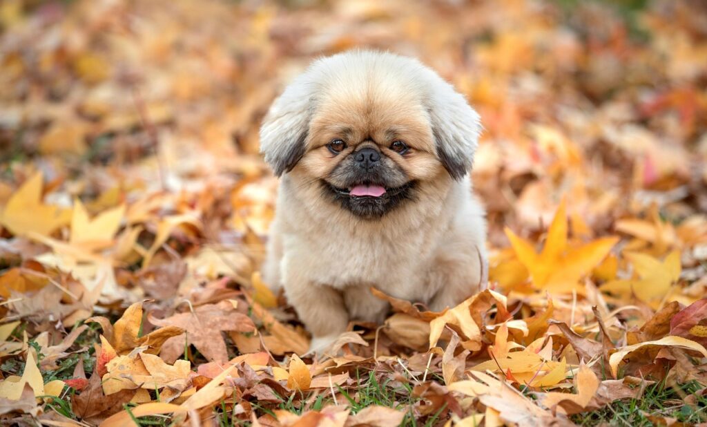 おすすめのマッチングアプリは20代にどれが人気？