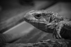 マチアプで女性が魅力を伝えるための自己紹介のコツは？