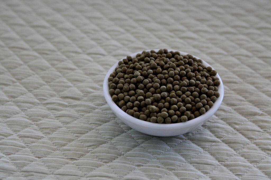 20代で恋活アプリを使う際の自撮り苦手な人への対策は？