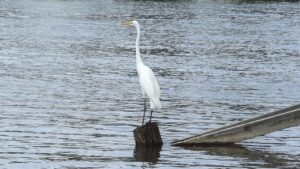 20代の恋活アプリで恋愛遍歴はどこまで話すべきか？