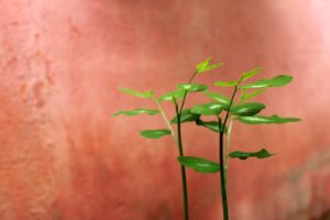 20代の恋活アプリを使った朝活デートのアイデアは？