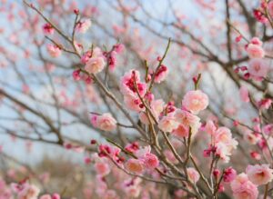 「with 何 曜日 に始めるのがベスト？始めるタイミングを徹底解説！」